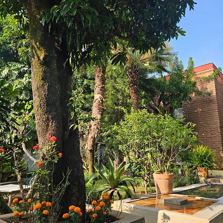 Casa Limon Malinalco Hotel Exterior photo