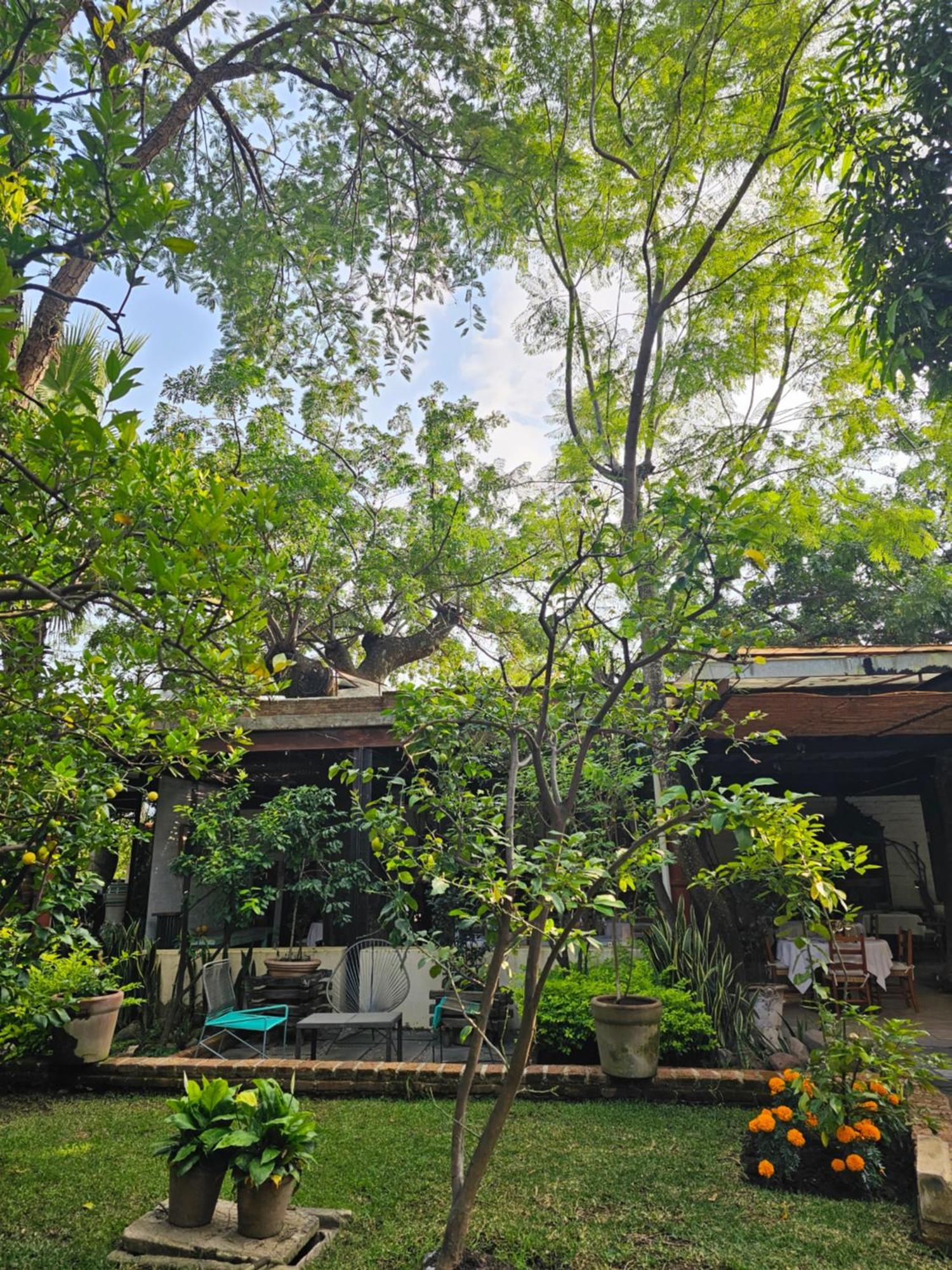 Casa Limon Malinalco Hotel Exterior photo